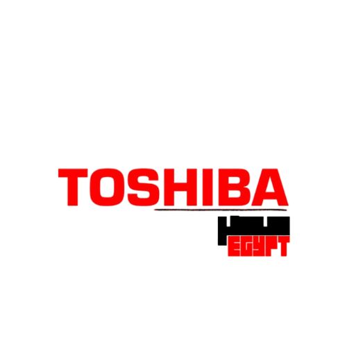 Toshiba Maintenance Logo